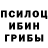 Псилоцибиновые грибы Psilocybe Atlantic Sasha