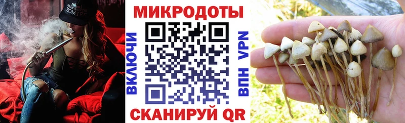 Галлюциногенные грибы ЛСД  Благодарный 
