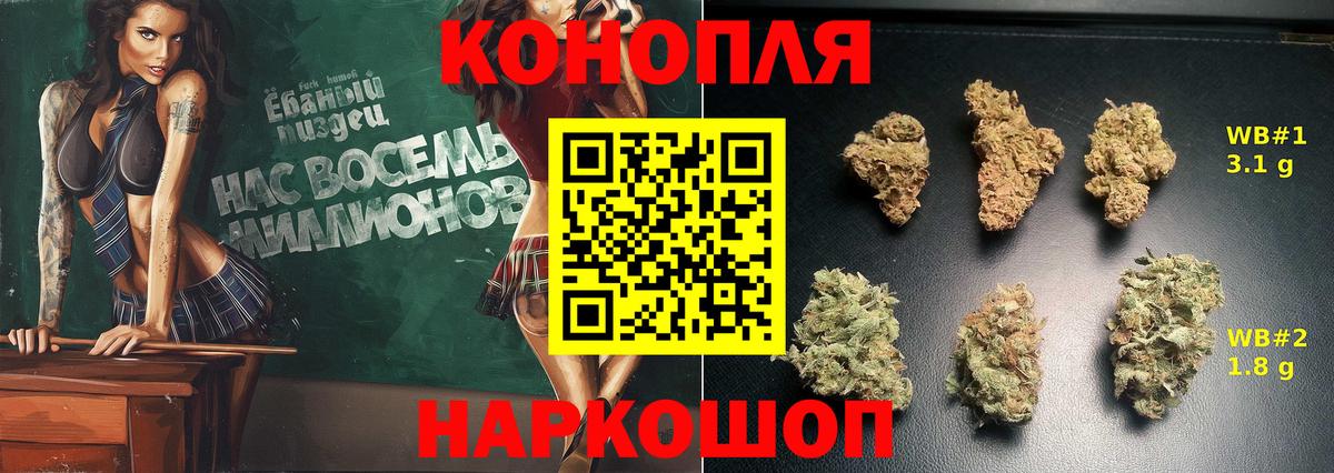 Бошки марихуана сатива Благодарный